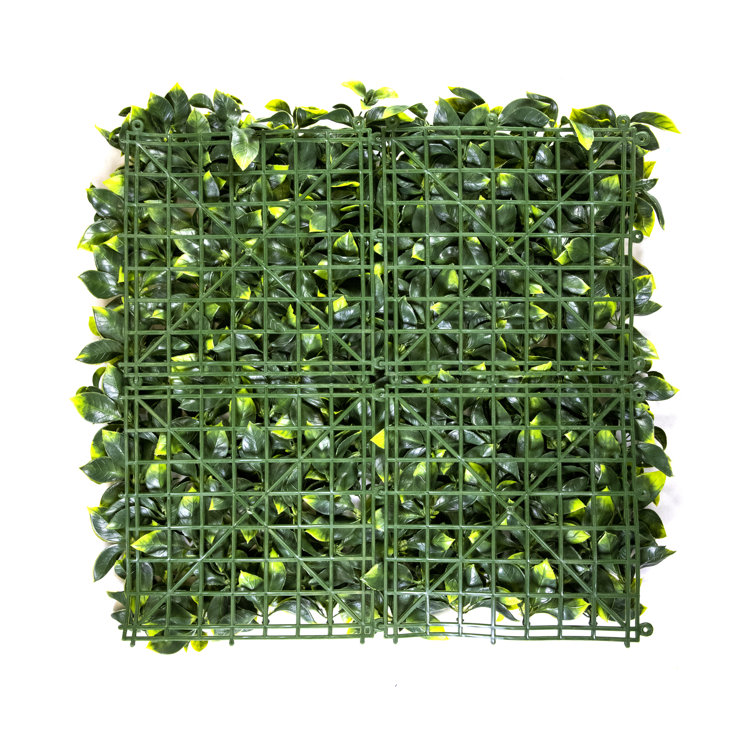 Primrue 20'' Faux Boxwood Hedge Wayfair Canada